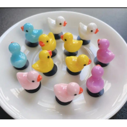6 Croc Charm Ducks